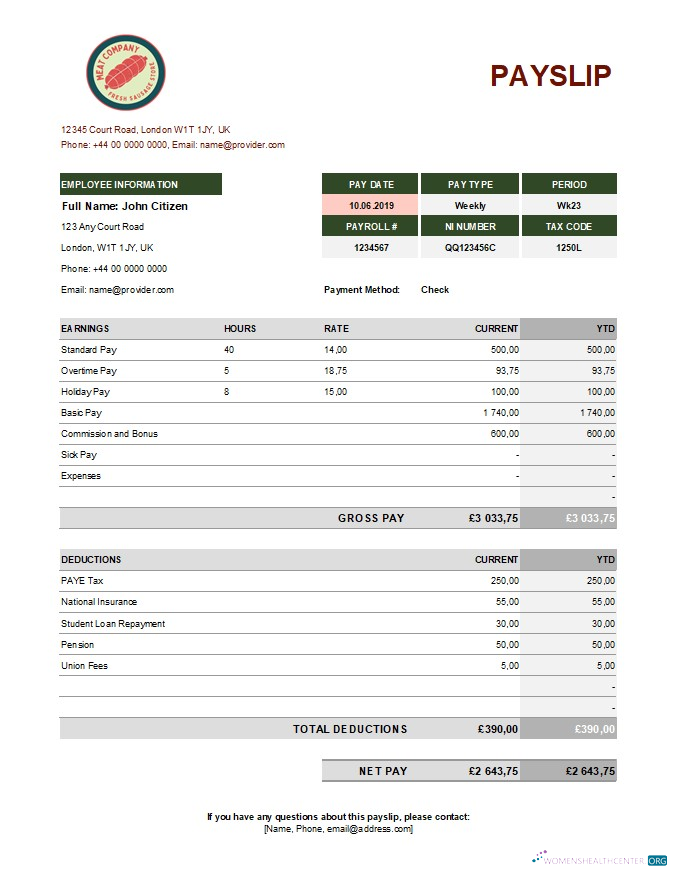 Download food meat company earning statement in Excel and PDF formats Photoshop template